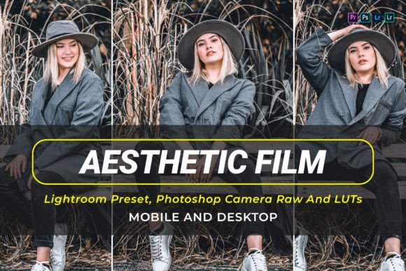 Download 10 Aesthetic Film Presets and Luts - Film presets Collection